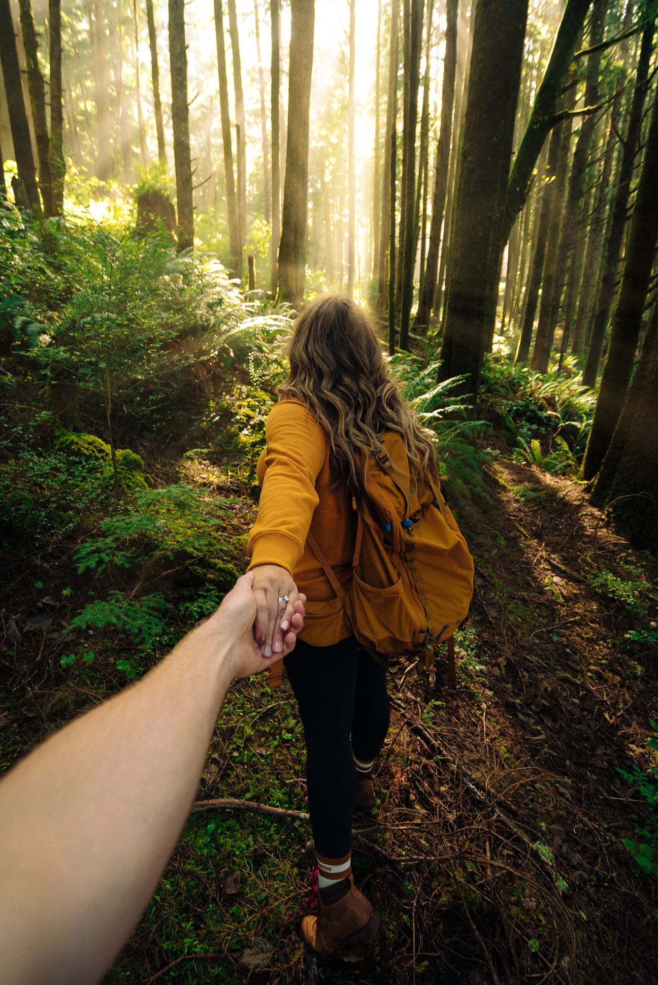 Bruce Trail hiking near Elements Milton — Crawford Lake and Hilton Falls conservation areas