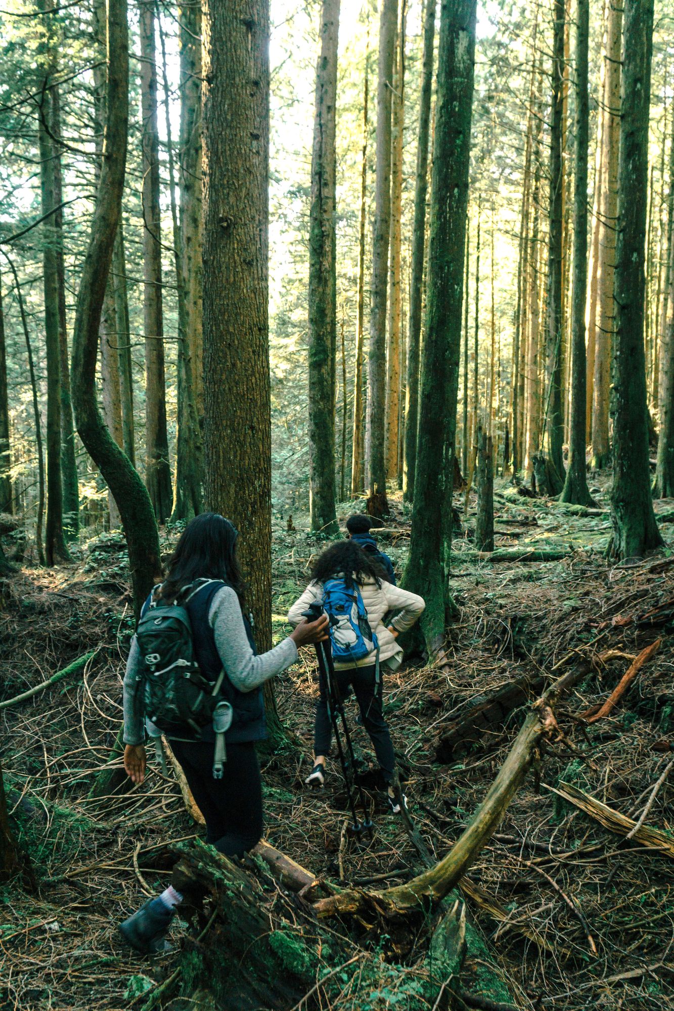 Glen Eden ski resort and recreation — 15 minutes from Elements Milton townhomes